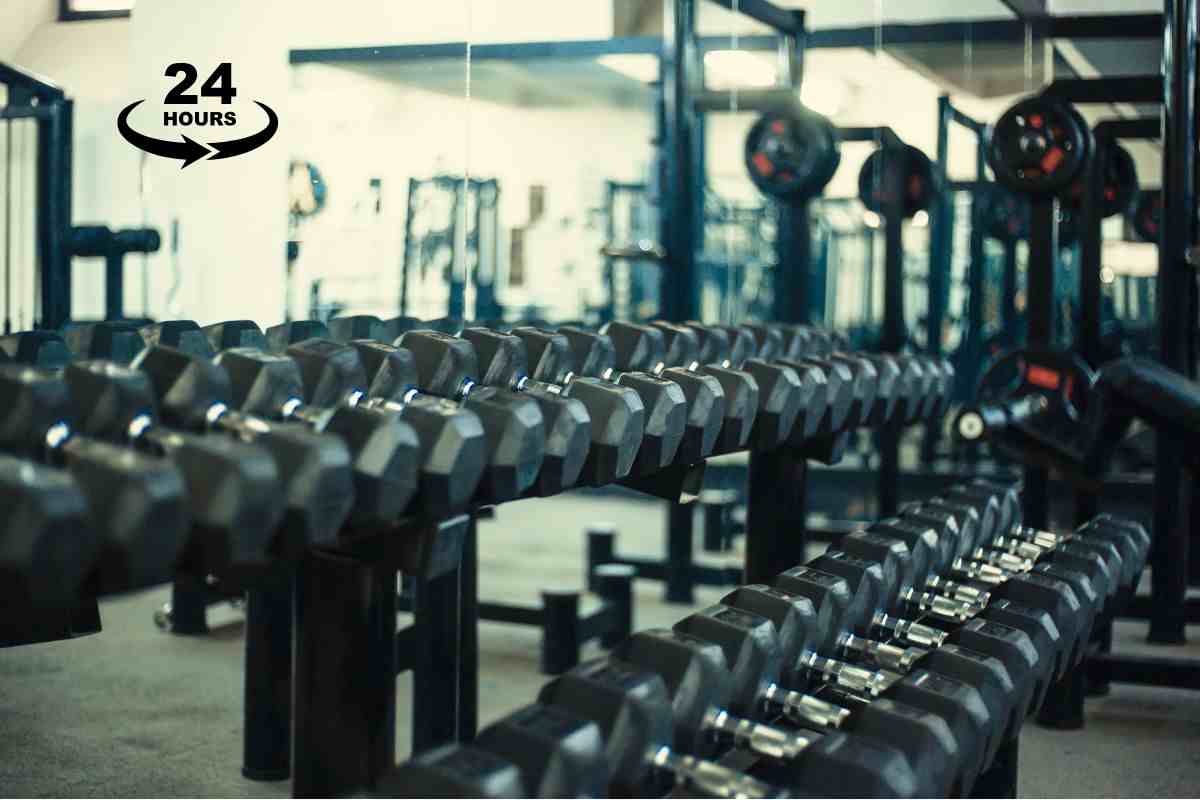 Palestra h24